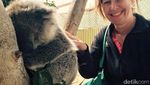 Lebih Dekat dengan Koala & Kanguru di Melbourne