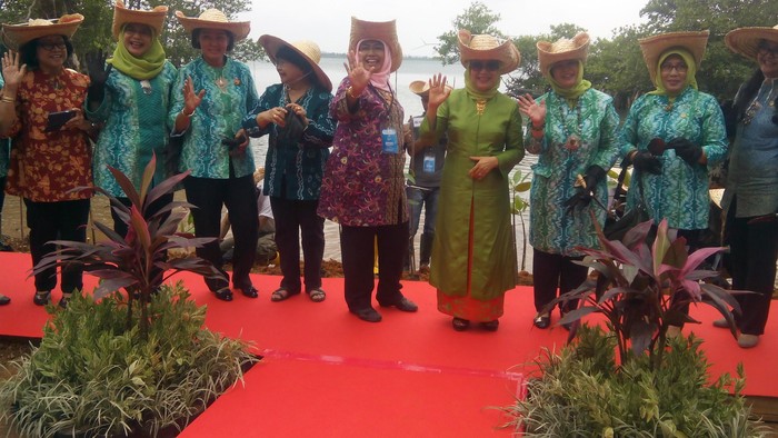 Mufidah Kalla Ajak Para Wanita di Kepri Tanam Mangrove