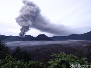 Abu Vulkanik Bromo Mengarah ke Juanda, Angkasa Pura I: Operasional Normal