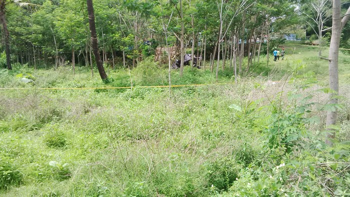 Puing Pesawat Golden Eagle Dievakuasi, Begini Kondisi Lokasi