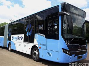 TransJakarta Buka Lowongan Sopir untuk Lulusan SMP, Cek di Sini