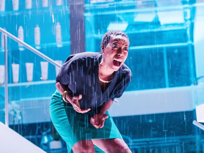 Mengenal Noma Dumezweni, Hermione Dewasa di Panggung Teater