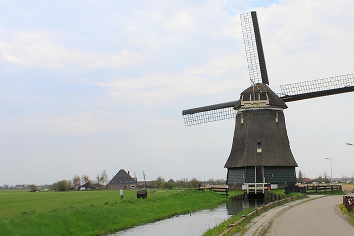 Amsterdam Palakin Turis?