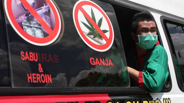 Punya Efek Berbeda, Seperti Apa Rasanya Kopi Dicampur Ganja?