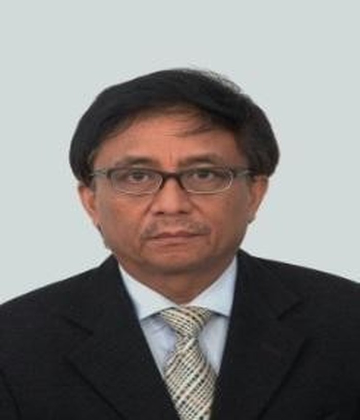 Kembali ke GBHN-kah Kita?