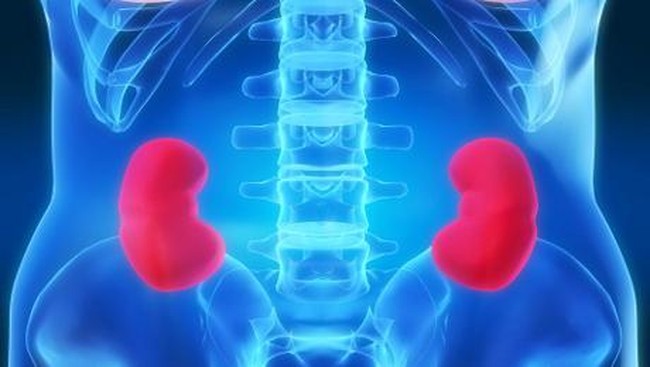 4 Makanan Yang Harus Dipantang oleh Pasien Gagal Ginjal