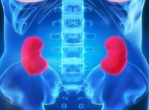 Kebiasaan yang Dianggap Sehat Justru Bikin Sakit Ginjal