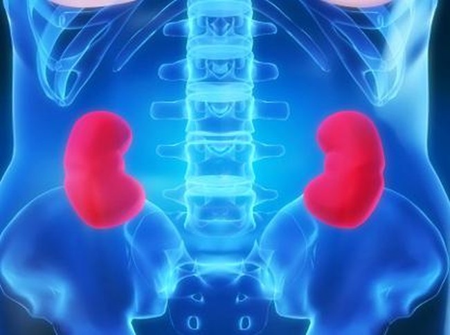 Sayangi Ginjalmu! Pahami 4 Fakta Penting Seputar Ginjal (2)