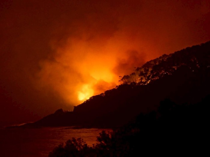 Terus Berkobar, Kebakaran Hutan di Australia Hanguskan 116 Rumah