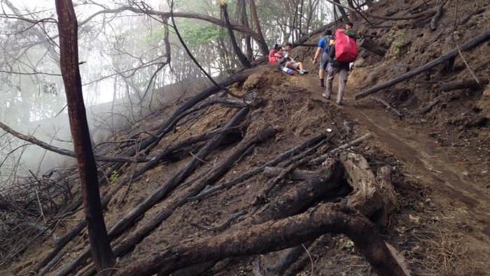 Penampakan Jalur yang Terbakar di Gunung Semeru