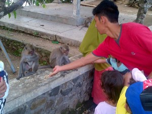 Seru! Liburan Bareng Kera di Waduk Jatibarang Semarang