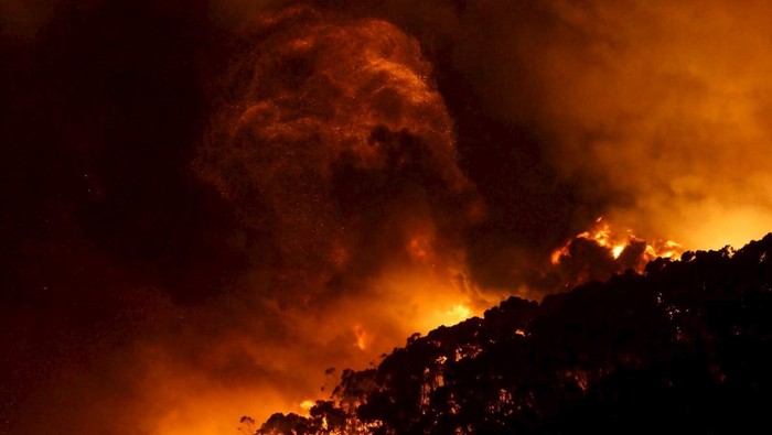 Australia Dilanda Kebakaran Hutan Saat Natal, 53 Rumah Hangus