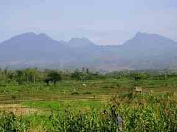 Gunung Wilis