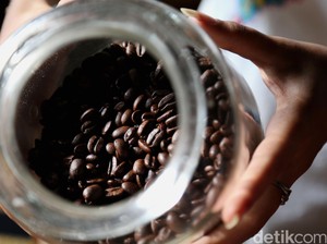 Menikmati Lampung Lewat Minuman Serbat & Durian Kopi Luwak