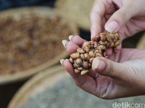 Dulu Berjaya, Kopi dan Lada RI Kini Disalip Vietnam