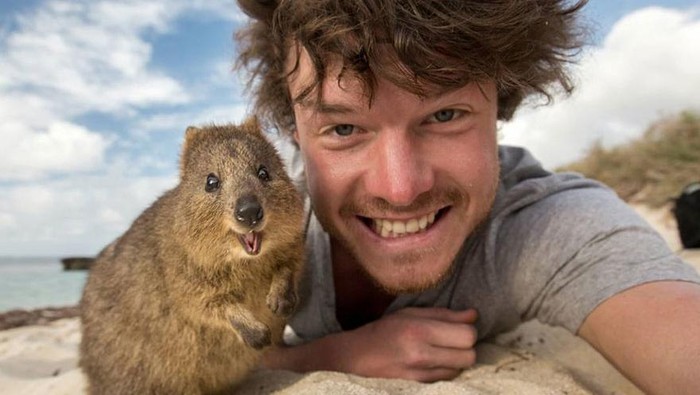 Traveler Jago Selfie Bareng Hewan yang Bakal Bikin Iri