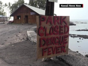 Demam Berdarah Ancam Turis yang Libur Natal dan Tahun Baru di Hawaii