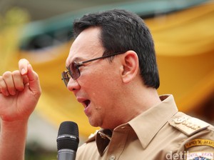 Malas Bicara Pilgub DKI 2017, Ahok: Belanda Masih Jauh