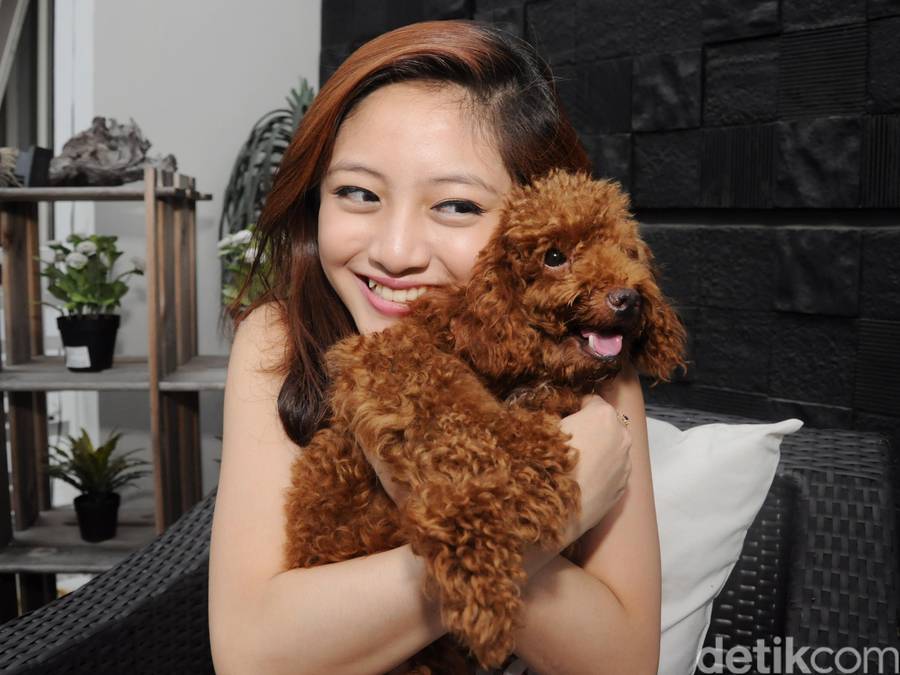 Natalie Zenn Dan Anjing Pudel Kesayangannya Foto 2