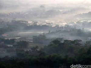 Awas Kabut Asap! Satelit Pantau 69 Titik Api di Kaltim, Riau, dan Sumut