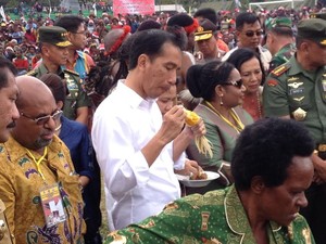Wa Wa Wa! Jokowi Santap Hidangan Bakar Batu dan Bagi-bagi Sepeda di Jayawijaya