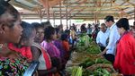 Foto: Kehidupan Suku-suku Papua di Sekitar Tambang Freeport