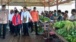 Jokowi Tinjau Pembangunan Jalan di Nduga