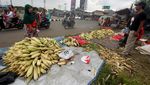 Akhir Tahun, Pedagang Jagung dan Arang Menjamur