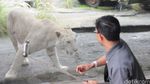 Musim Libur Batu Zoo Park Dipadati Wisatawan