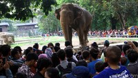 Mereka memilih menghabiskan sisa liburan tahun baru sambil berpiknik bersama keluarga.