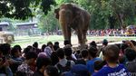 Puluhan Ribu Pengunjung Padati Kebun Binatang Ragunan