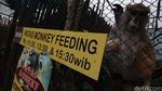 Musim Libur Batu Zoo Park Dipadati Wisatawan