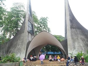 Pohon Tumbang di Kebun Binatang Ragunan, 1 Orang Tewas 4 Terluka