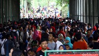 Tidak sedikit dari pengunjung yang membawa tikar dan makanan sendiri dari rumah.
