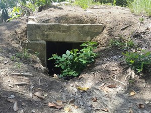 Melihat Bunker dan Meriam Peninggalan Pasukan Jepang di Kaimana Papua Barat