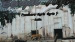 Musim Libur Batu Zoo Park Dipadati Wisatawan