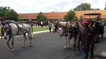 Kadipaten Puro Pakualaman Gelar Gladi Kirab