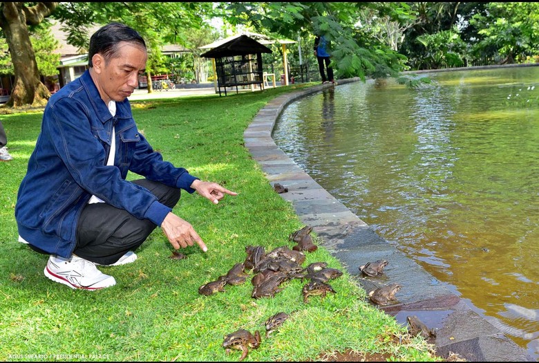 Kolam Kabinet Jokowi Terlalu Kecil Jadi Sebab Rekonsiliasi Terbatas? Kolam Kabinet Jokowi Terlalu Kecil Jadi Sebab Rekonsiliasi Terbatas?