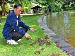 Kolam Kabinet Jokowi Terlalu Kecil Jadi Sebab Rekonsiliasi Terbatas?