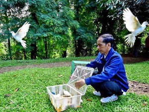 Ini Penampakan Burung-burung yang Dilepas Jokowi di Kebun Raya Bogor