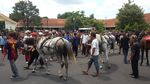 Kadipaten Puro Pakualaman Gelar Gladi Kirab