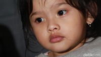 Pipinya terlihat sangat chubby. Pool/Gusmun/detikFoto.