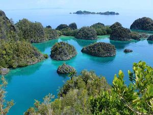 Ini Waktu Terbaik untuk Liburan ke Raja Ampat