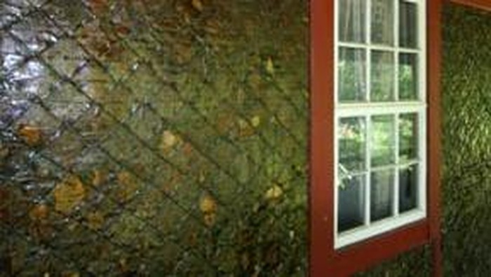 Cuma di AS, Rumah Terbuat dari Kertas Koran