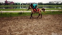 Terpilihnya Jakarta sebagai tuan rumah Asean Games juga diharapkan dapat mengangkat citra olahraga Tanah Air khususnya berkuda. Sebab jarangnya kegiatan olahraga berkuda, membuat fasilitas yang dimiliki terabaikan.