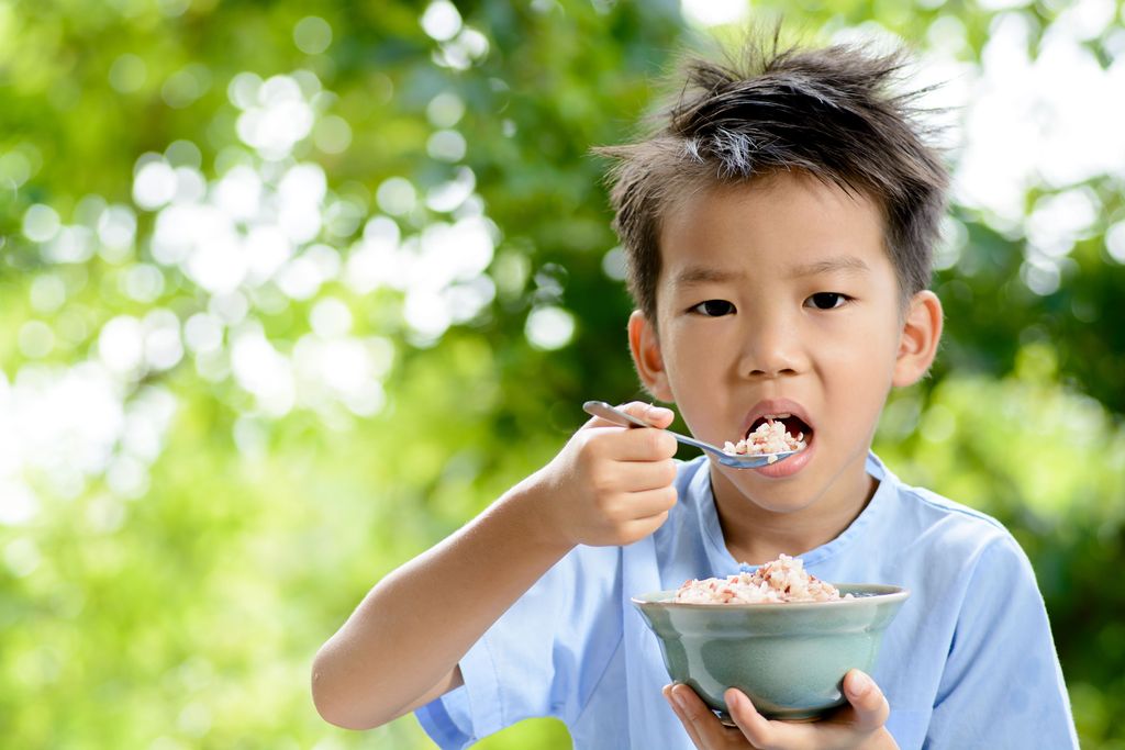 ilustrasi anak makan nasi