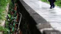 Kabel-kabel yang berbeda-beda warnanya tersebut sungguh memperihatinkan. 