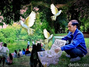 Perdagangan Satwa Liar dan Aksi Jokowi Borong Burung di Pasar Pramuka
