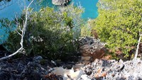 Walau masih didominasi batu karang, sebagian pijakan sudah di beri semen untuk tempat melangkah. Tentunya traveler harus ekstra hati-hati agar tidak terperosok (Randy/detikTravel)