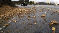 Badai juga memicu tanah longsong di Malibu Canyon. Mario Anzuoni/Reuters/detikFoto.